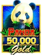 รีวิวเกม narcos slot: สนุกและตื่นเต้นไปกับ Pragmatic Play